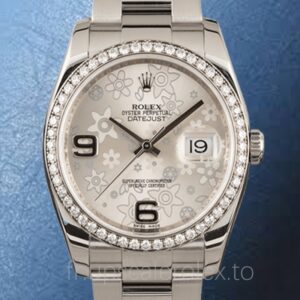 Rolex Datejust 116244SFAO Pour des hommes Cadran fleuri argenté Automatique